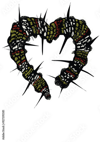 A Mopane Worm Caterpillar Heart Shaped photo