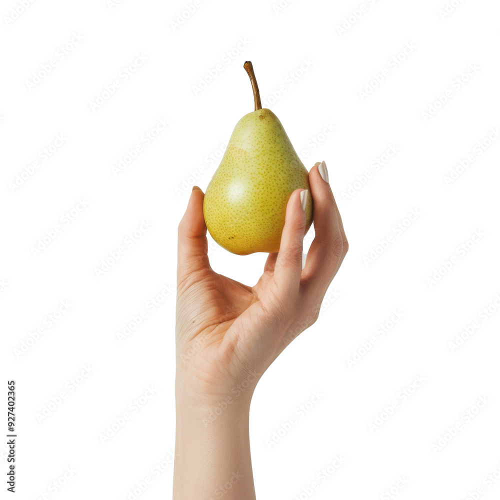 Female Hand Holding a Pear, Isolated on Transparent Background Female Hand Holding a Pear, Isolated on Transparent Background