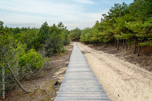 Trail to observation deck on Olenya Buda dunes with views of Swan Lake. Curonian Spit National Park. Russia