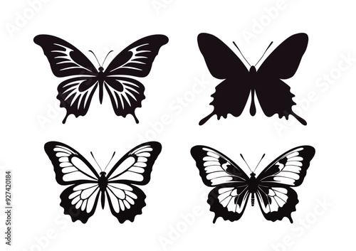 butterfly_20240818