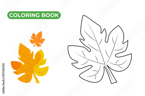 Autumn leaf coloring book for kids. Black and white contour vector illustration of plant. Linear drawing of falling leaves in autumn colors.