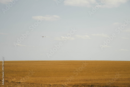 flying over the field