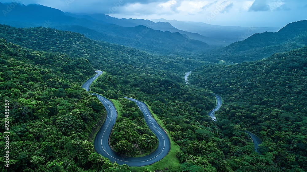 An aerial view of a winding mountain road snaking through a dense forest, with the vibrant greens of the trees contrasting against the rugged terrain
