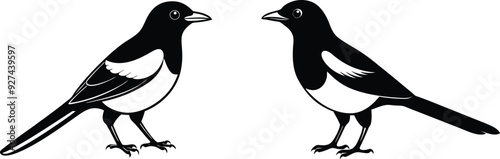 2 Set Cute Silhouette Magpie Bird Vector Art