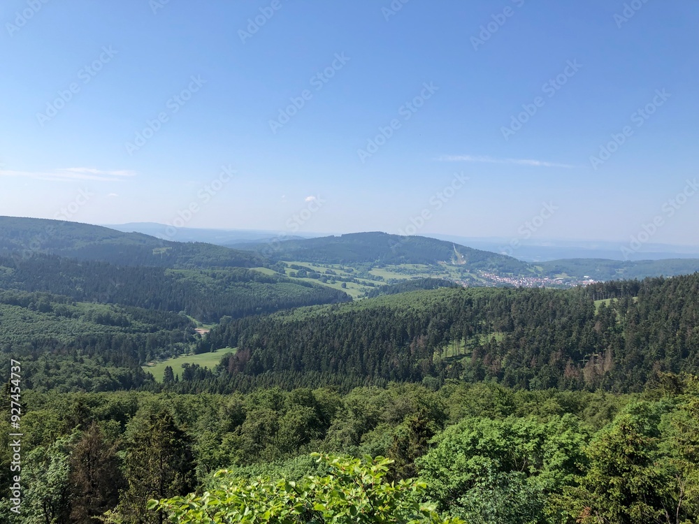 Obraz premium view of mountains covered with green forest with blue sky