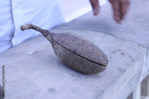 Indian Boab Nut Placed on the marble surface with selective focus 