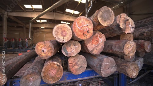 Wood processing plant. Log warehouse. factory