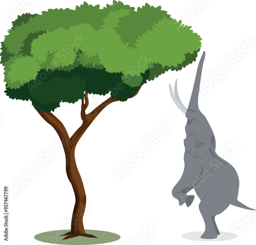 Elephant stands on its back legs to eat tree top leaves