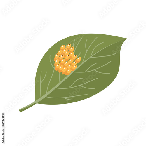 Colorado potato beetle eggs on a potato leaf. Zoological illustration in flat style