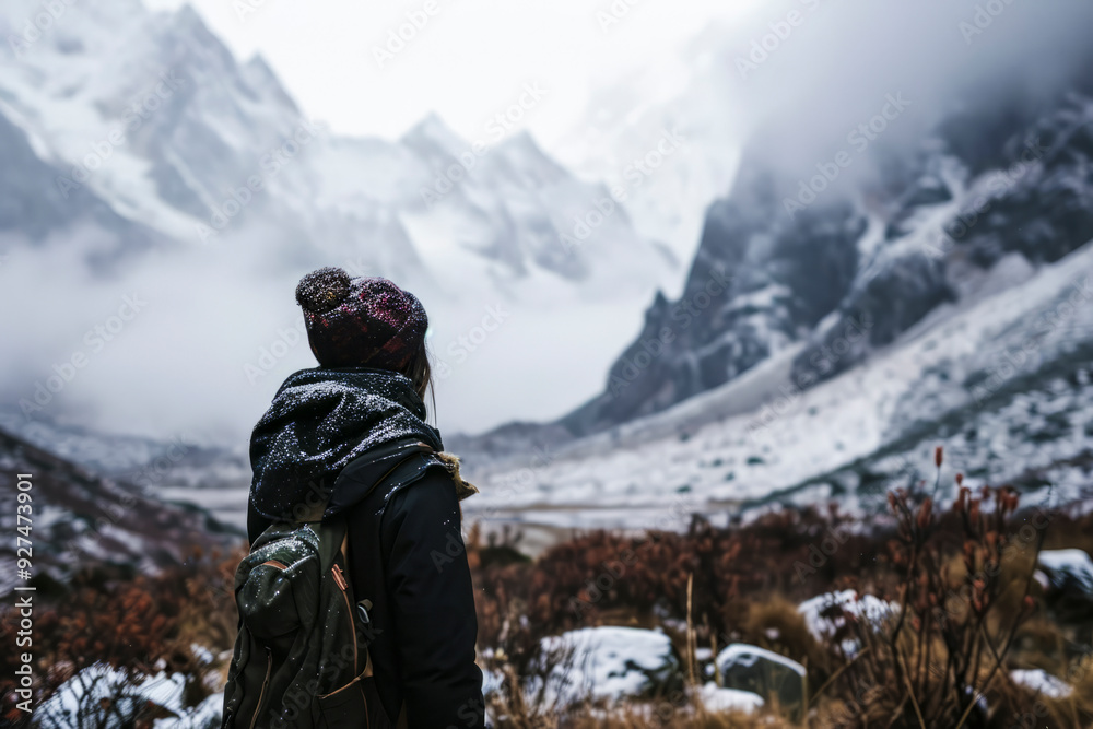 Walker contemplating a snowy valley in the mountains Walker contemplating a snowy valley in the mountains