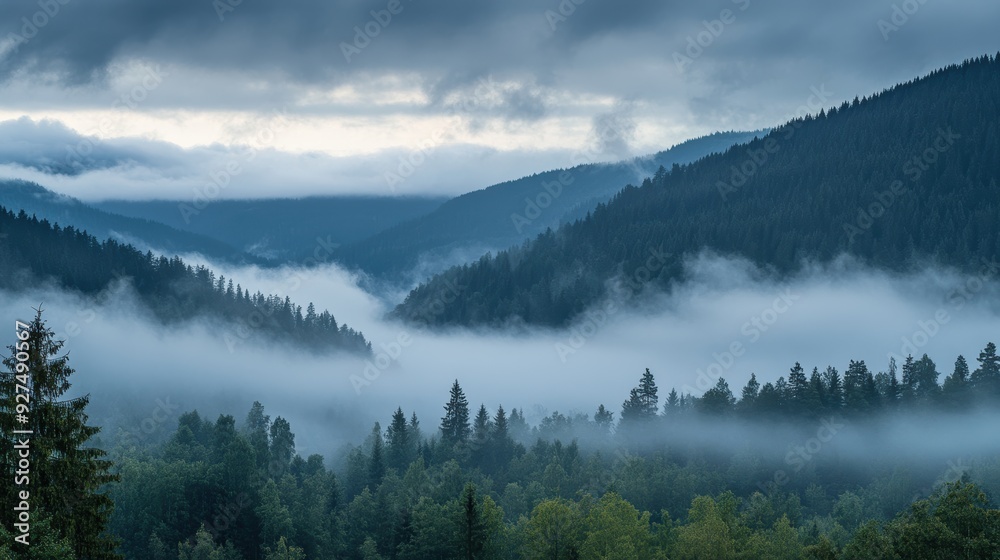 Fototapeta premium Serene Morning Mist Blanketing the Forest Canopy