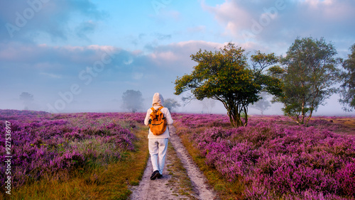 Photos Exploring the vibrant heather fields of Veluwe Zuiderheide in the Netherlands at