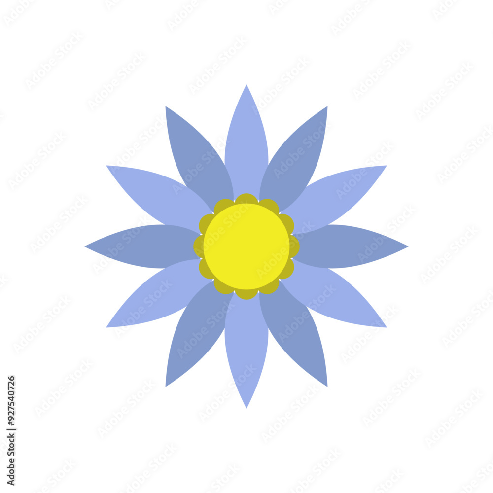 Flowers Flowers