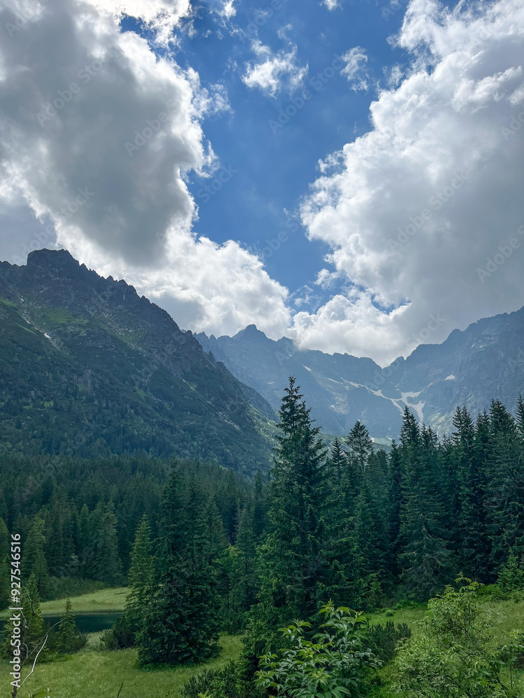 Fototapeta premium Beautiful mountain landscape with forest. vertical