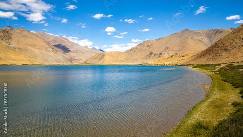 Wild green shrubs growing at the banks of Yayatso, a high-altitude lake at Ladakh, India. A new biodiversity hotspot at an attitude of 4820 meters.   photo