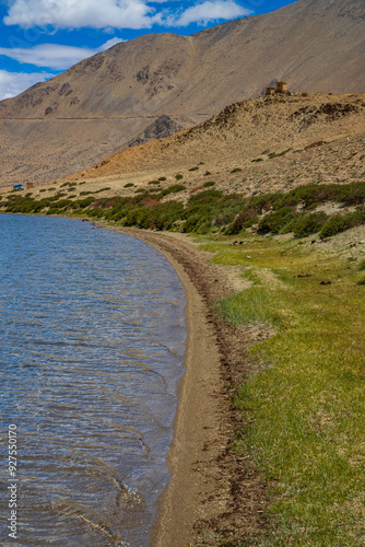 Grasslands at the banks of Yayatso, a high-altitude lake at Ladakh, India. A new biodiversity hotspot at an attitude of 4820 meters.  
 photo