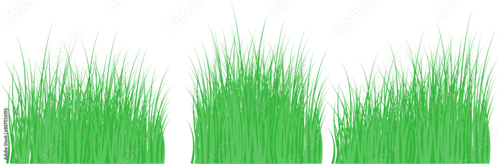 Fototapeta premium Grass silhouette seamless pattern. Green grass meadow border vector pattern. Autumn summer plant field lawn.