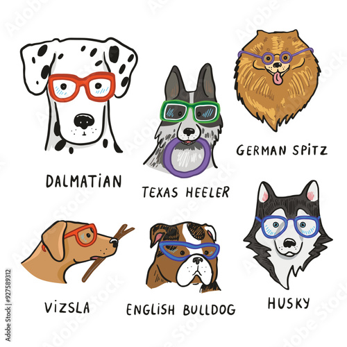 Set of dogs with glasses. Vector illustration on a white background.