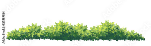 Vertor set of green tree,plants side view for landscape elevations,element for backdrop,eco environment concept design,watercolor greenery scene,shrub for spring 