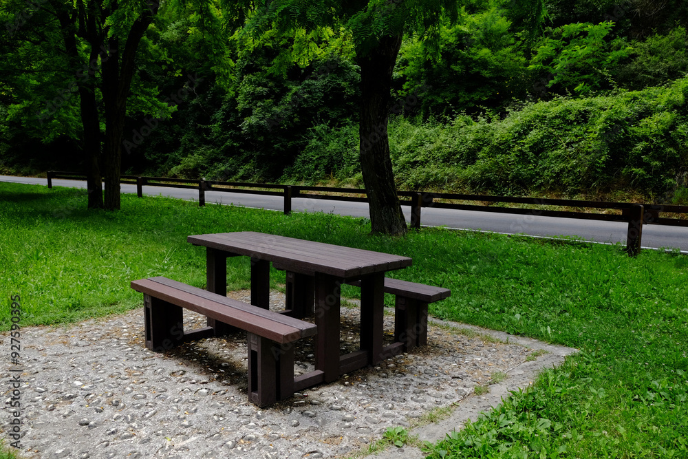 Empty wooden picnic table with benches in park on sunny day Empty wooden picnic table with benches in park on sunny day