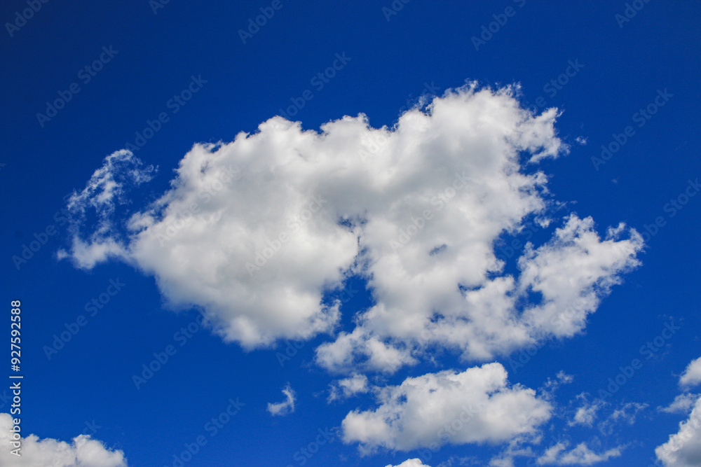 Puffy white cloud in a blue sky