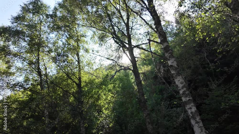 Textura entre montañas. Agua, cascada y rio. Plantas y cielo azul.