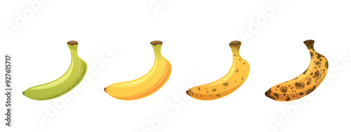 Four Bananas At Different Stages Of Ripeness, Starting From Green And Unripe, Progressing To Fully Yellow And Ripe