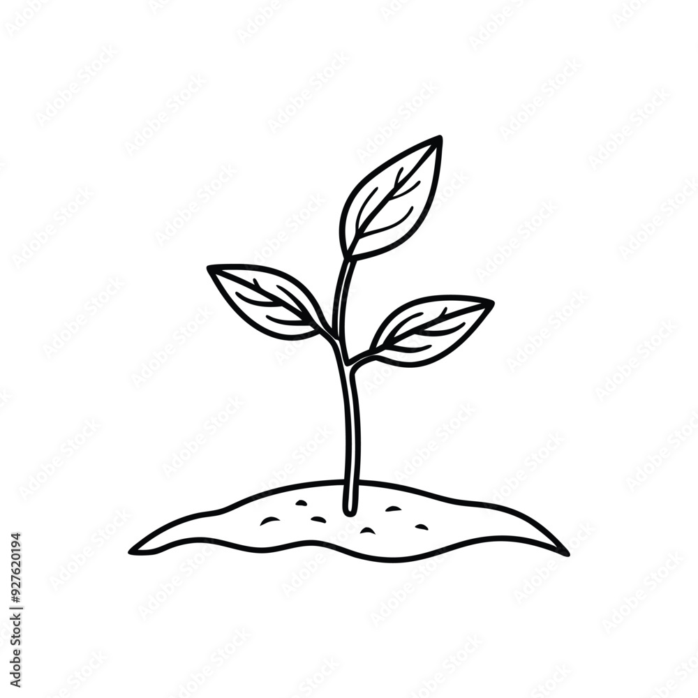 Plant Icon. Cultivation vector art isolated on white background Plant Icon. Cultivation vector art isolated on white background