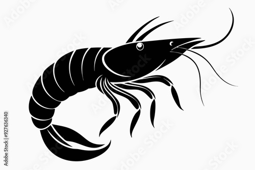  Shrimp silhouette sea animal sketch vector art illustration photo