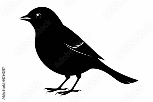 Tanager bird silhouette black vector art illustration photo