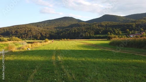 Natural landscape in summertime at Gorenje Jezero, Cerknica, Slovenia, next to a stream