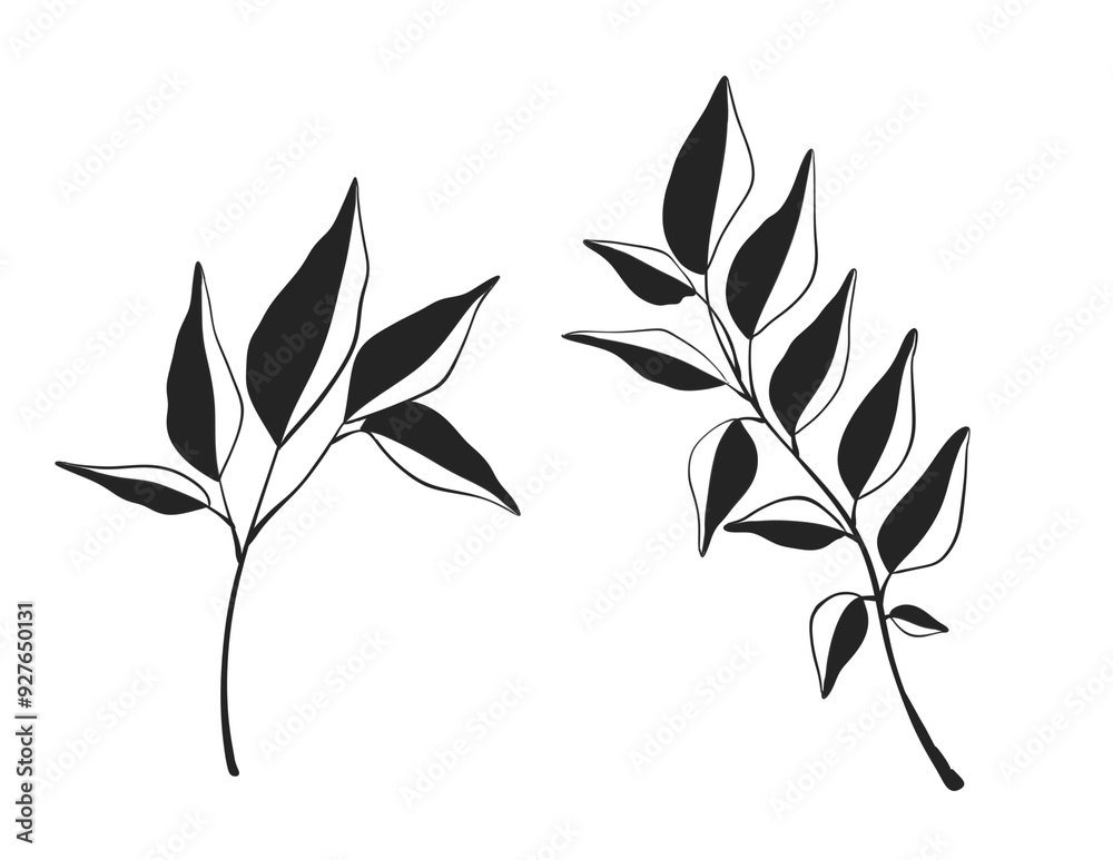 Fototapeta premium Herb Branch line art collection. Botanical illustration