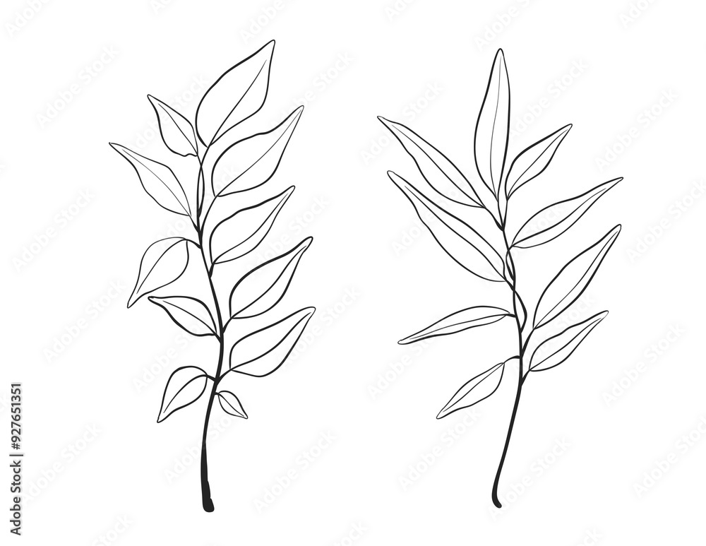 Fototapeta premium Herb Branch line art collection. Botanical illustration