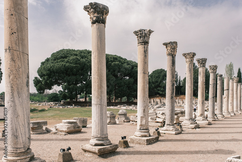 Ephesus Ancient City columns (Efes Antik Kenti) photo