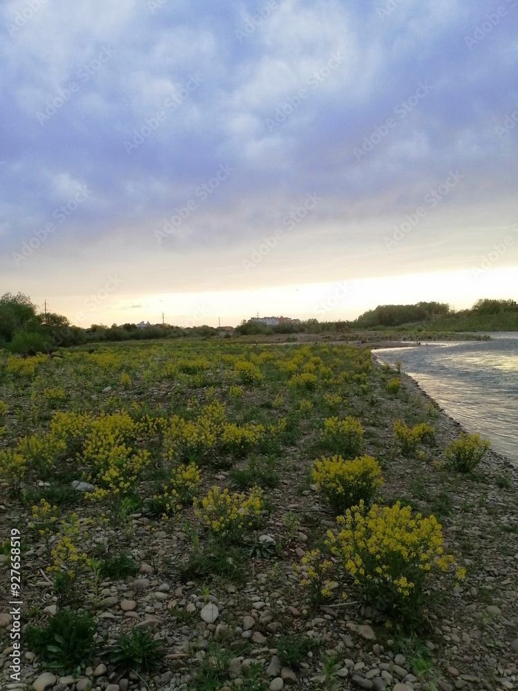 Obraz premium sunset over the river