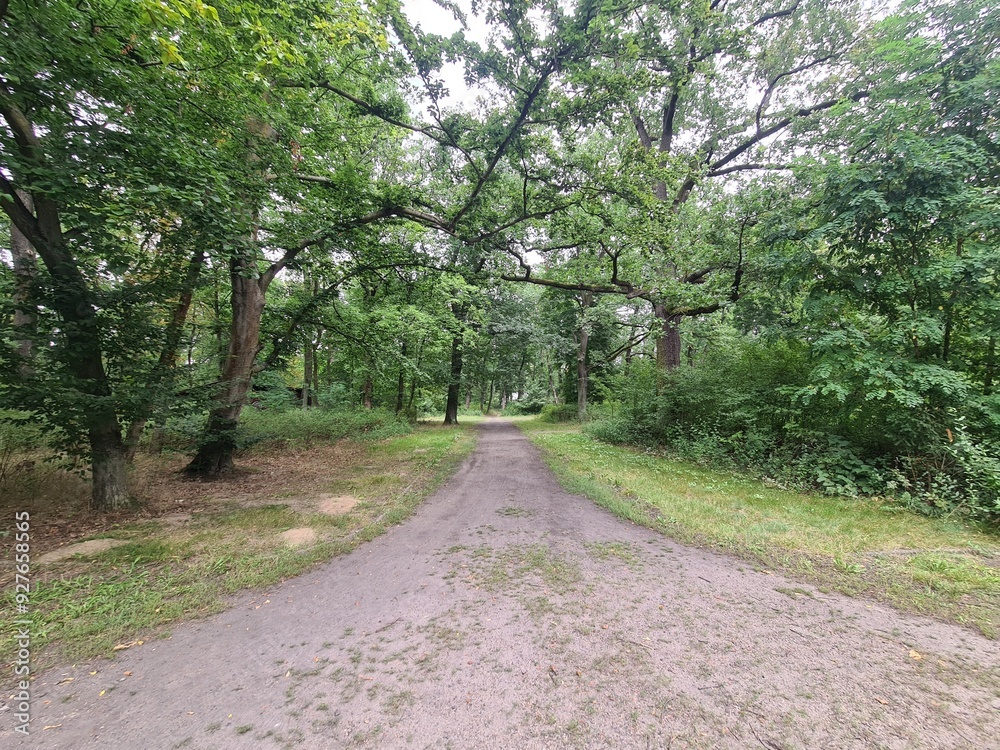 parc with atmospheric sky, trees and walking path in Berlin Friedrichshagen (Treptow/Köpenick) parc with atmospheric sky, trees and walking path in Berlin Friedrichshagen (Treptow/Köpenick)