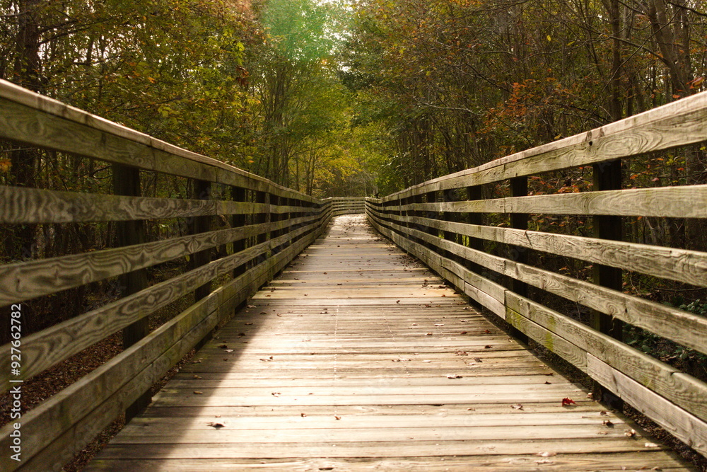 A wooden boardwalk along a hiking trail in a park leading into a forest. A wooden boardwalk along a hiking trail in a park leading into a forest.