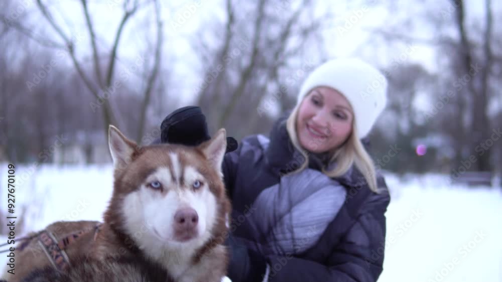 person animal woman girl dog season snow outdoor young pet adult park husky friendship winter person animal woman girl dog season snow outdoor young pet adult park husky friendship winter