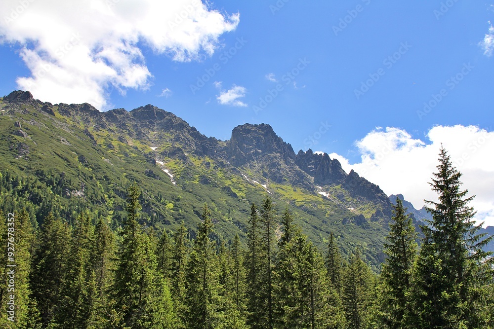 Fototapeta premium high mountains, Tatra Park, green trees, blue sky, natural plants, green corners