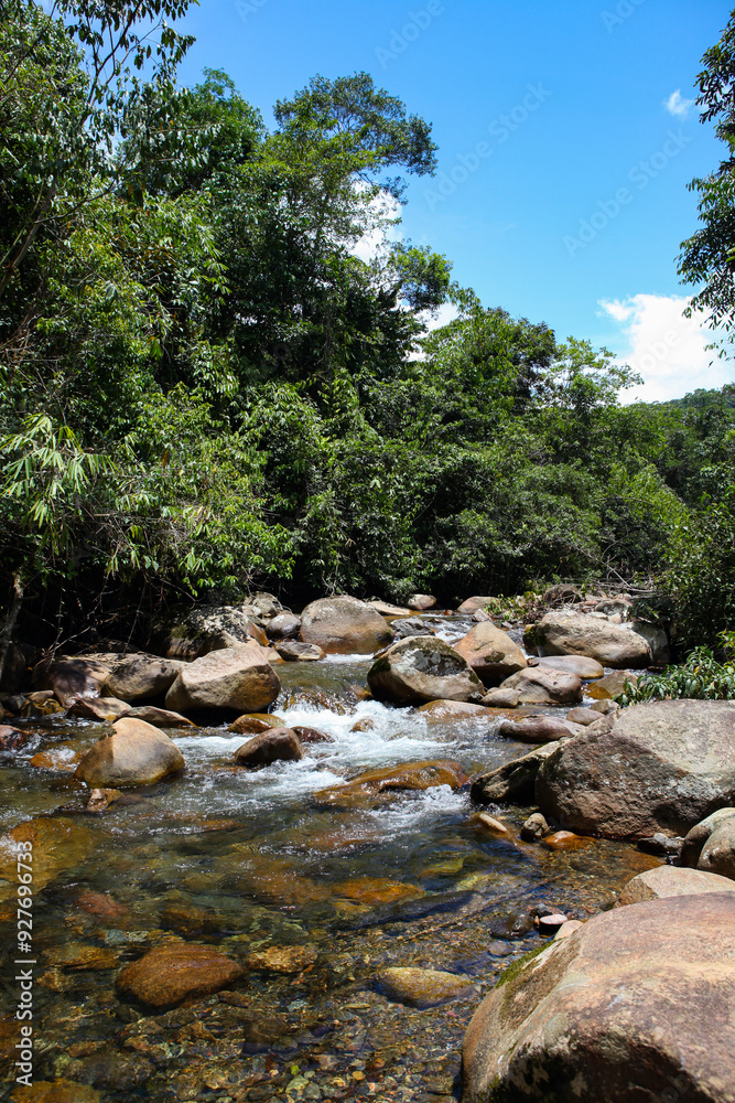 River in the Peruvian amazon jungle River in the Peruvian amazon jungle