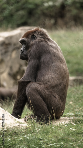 Zoo Tiere