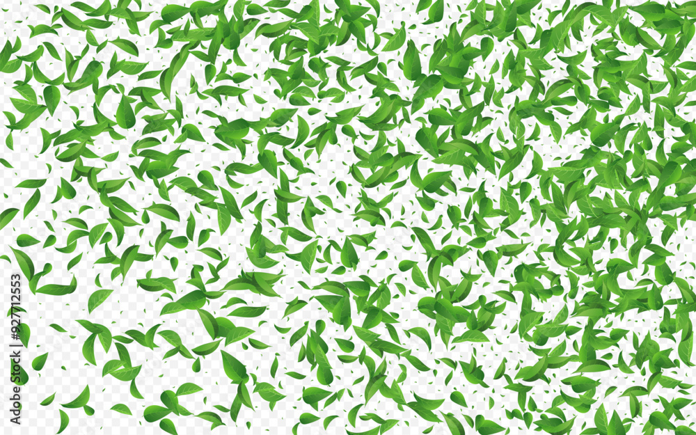 2560x1600ggr9__leif_8_01.eps