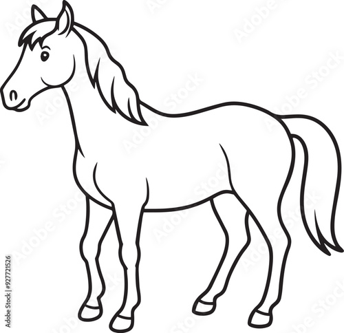 horse illustration