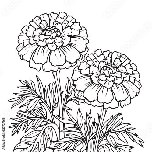 Wallpaper Mural  A drawing of a flower with white background Torontodigital.ca
