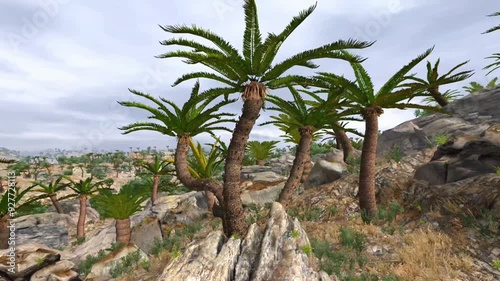 Wallpaper Mural Japanese sago palm Torontodigital.ca