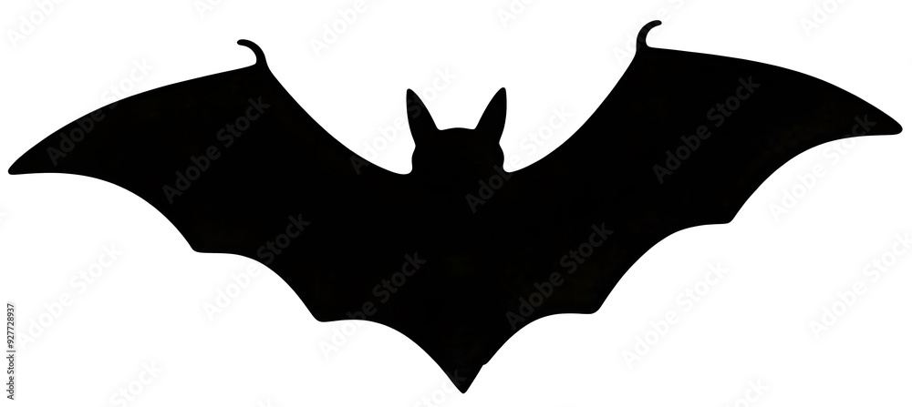 A bat, illustration, transparent background A bat, illustration, transparent background