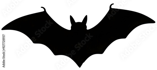 A bat, illustration, transparent background photo