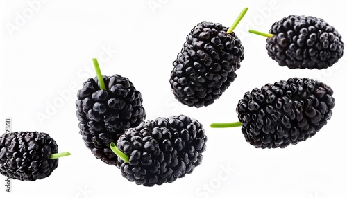 Black Mulberry in the air, isolated on white background
