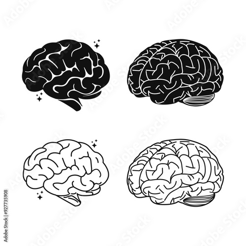 Human Brain Black and White Brain Arts