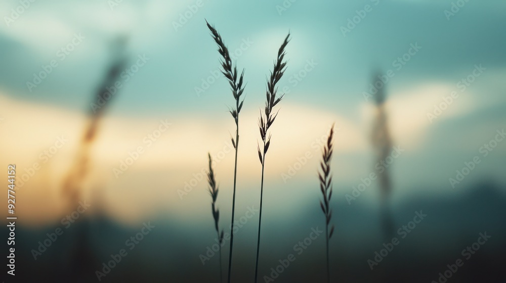 Delicate grass blades silhouetted against a soft, dreamy sunset sky, creating a serene and tranquil atmosphere. Delicate grass blades silhouetted against a soft, dreamy sunset sky, creating a serene and tranquil atmosphere.